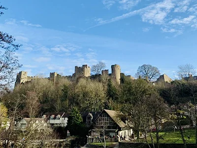 Ticket and event info